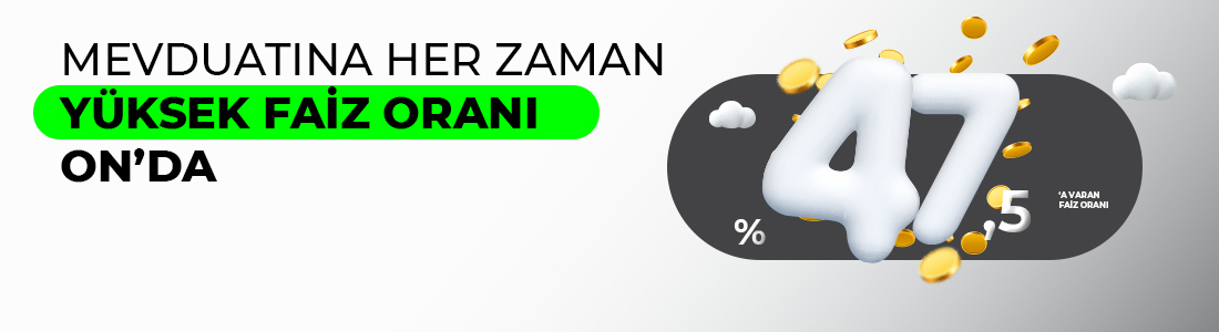 ON Hesap | Gece ve Gündüz Ayrımı Olmadan Avantajlı Faiz	